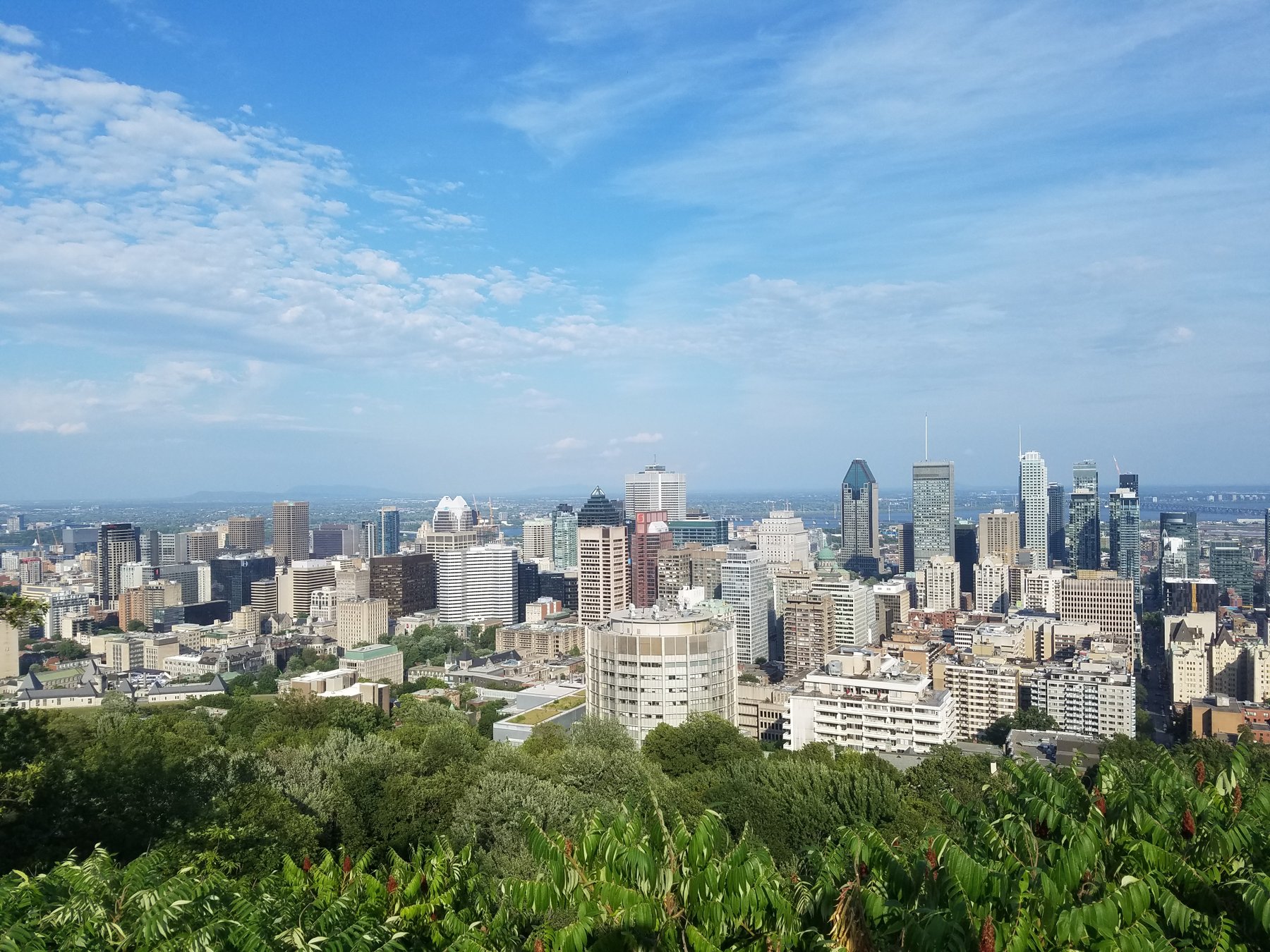 Montréal skyline seen from Mount Royal